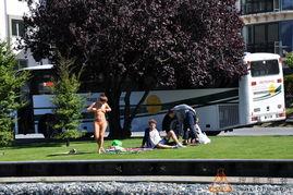 吉米的新西兰之旅 第一季,吉米第一季探险之旅