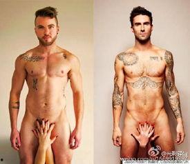 双面男模之桃花期,桃花期里的爱恋与蜕变